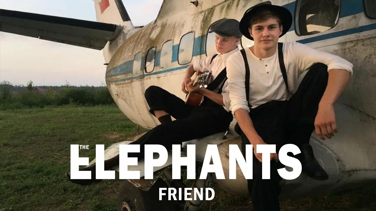 Elephant friends. Friend the Elephants Акулеля. Friends the Elephants перевод. The Elephants friends перевод песни.