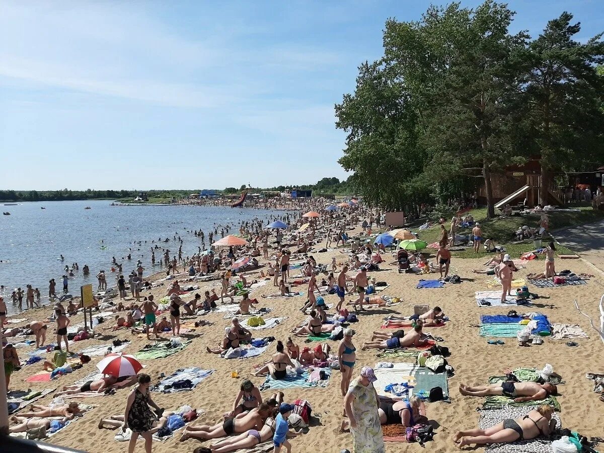 Озеро пляж фото. Озеро Андреевское Тюмень пляж. Озеро верхний Бор Тюмень пляж. Озеро Кривое Тюмень верхний Бор. Озеро липовое Тюмень пляж.