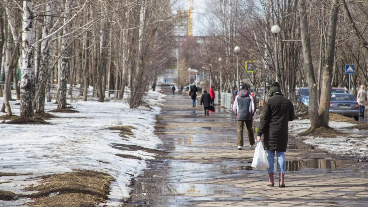 Бесснежная зима в России. Потепление зимой. Аномальное потепление зимой.