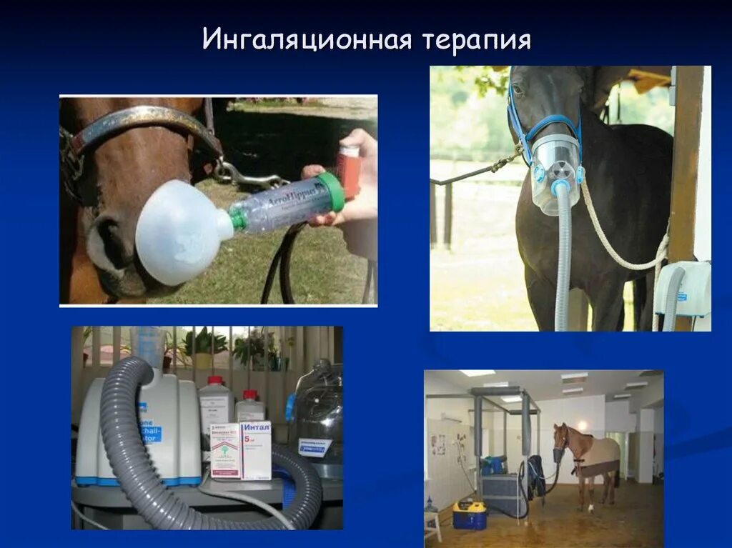 Система для аэрозольной терапии