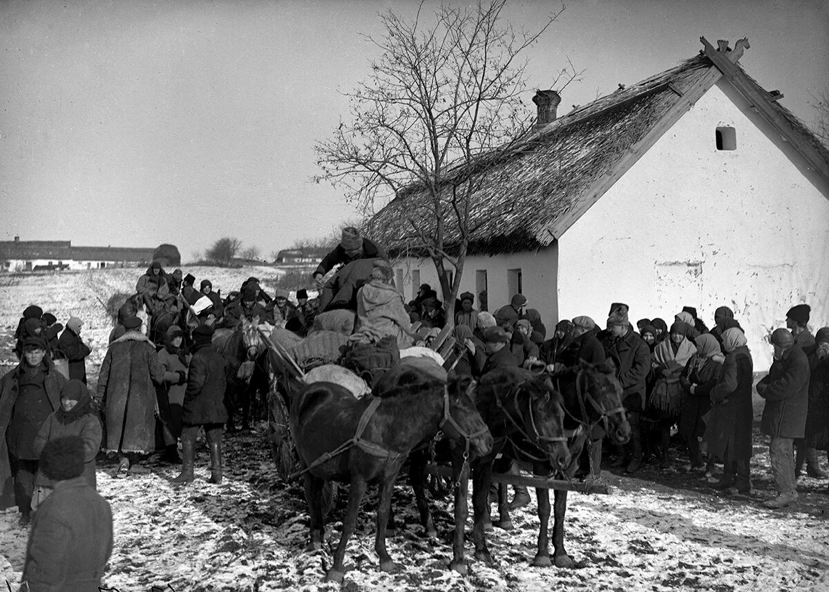 Кубань 1930. Раскулачивание крестьян 1918. 1930 - е годы – сталинские репрессии, коллективизация, раскулачивание. раскулачивание станица лабинская. раскулачивание станица ильинская.