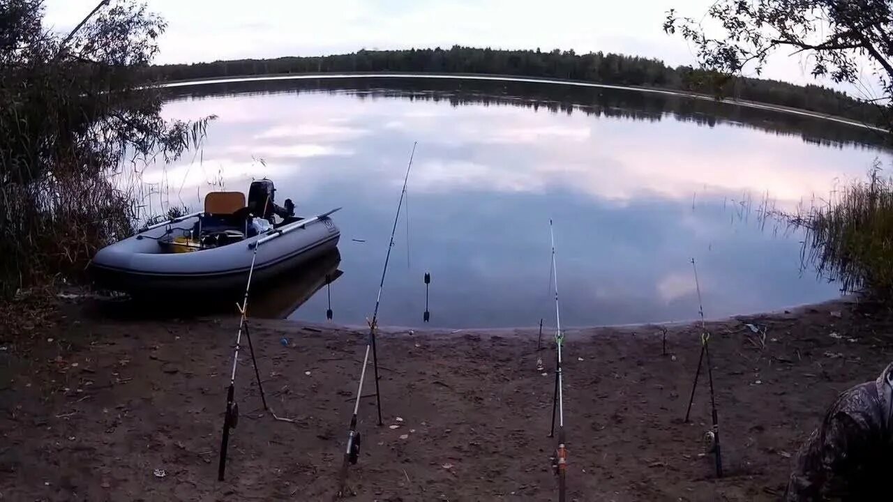 Ловля леща на озере. Место для рыбалки на средней реке. Ловля леща на резинку. Ловля леща на резинку на озере. Летняя рыбалка на резинку.