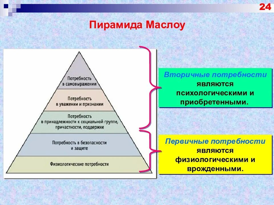 Творческий труд какая потребность. Первичные и вторичные потребности человека. К первичным потребностям относятся потребности. Вторичные потребности человека. Первичные потребности и вторичные потребности.