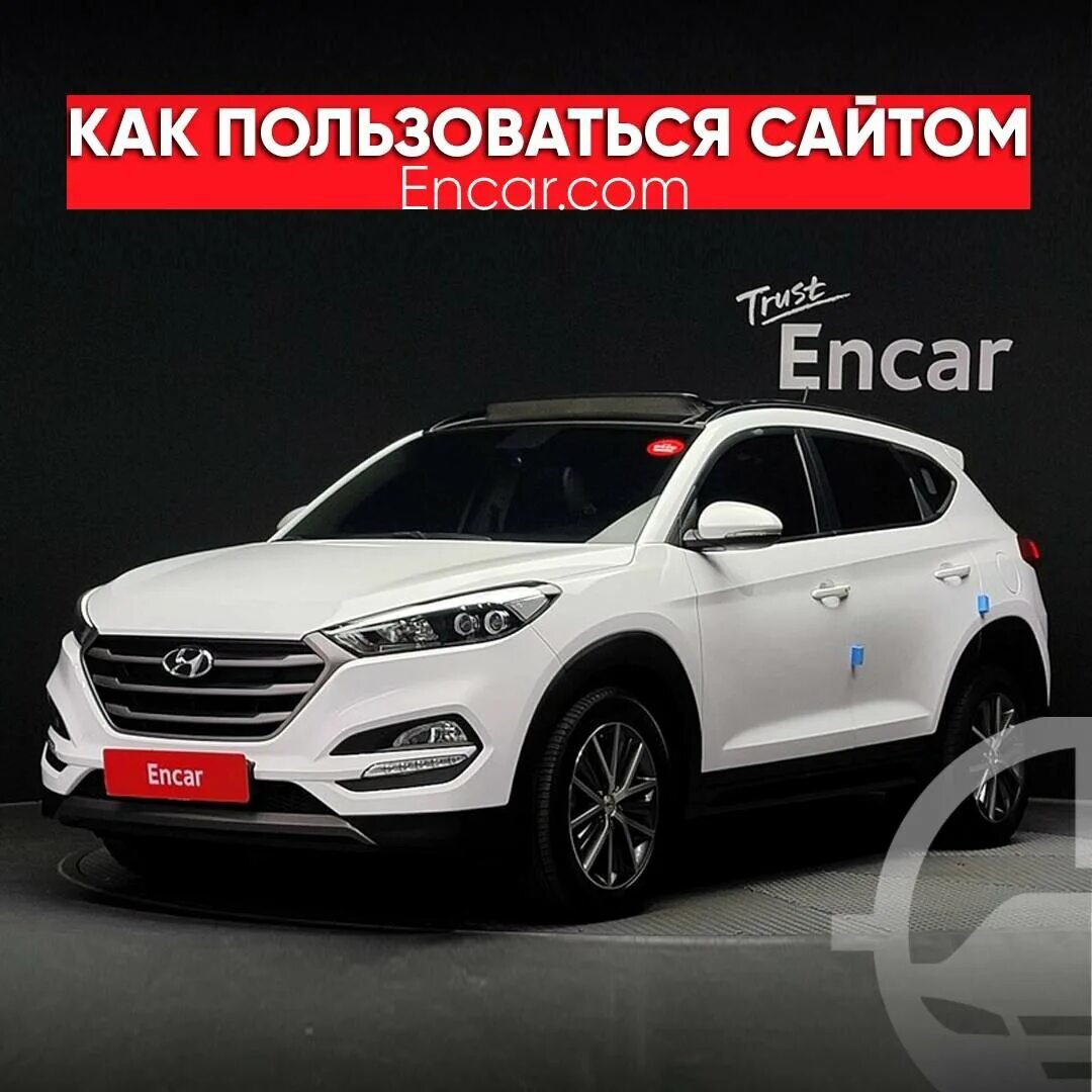 Энкар сайт. Энкар корея. trust encar отзывы.