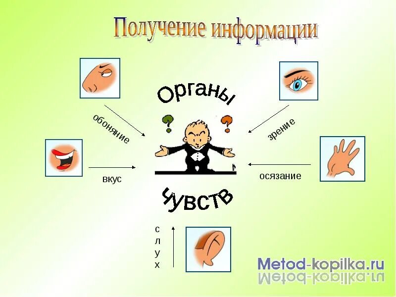 Источники способы получения информации. Получение информации. получение информации картинки. источники информации рисунок. картинка источники получения информации.