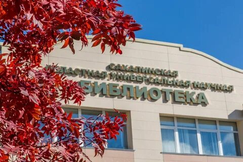 Областная детская южно сахалинск