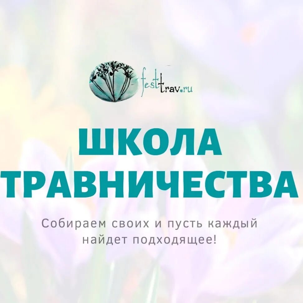 Травники украсить. Секреты травника. Травничество курсы. Школа травника. Травничества.