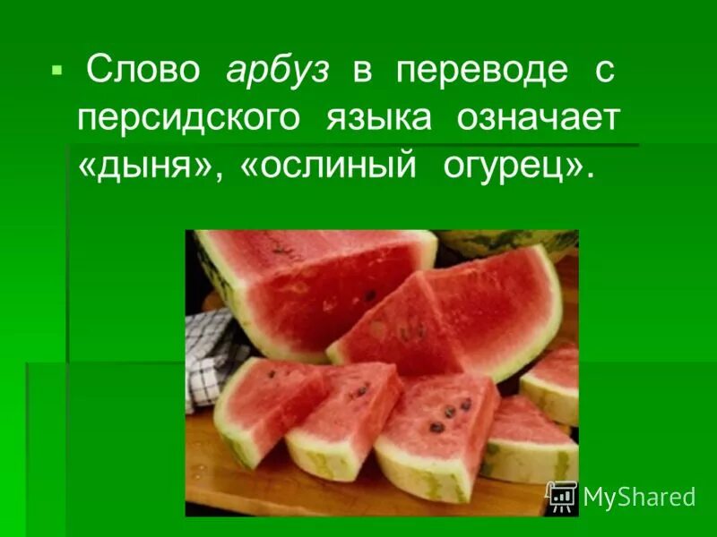 Папа купил 4 арбуза. Слово Арбуз. Происхождение слова Арбуз. Ослиный Арбуз. Арбуз появились в русском языке..