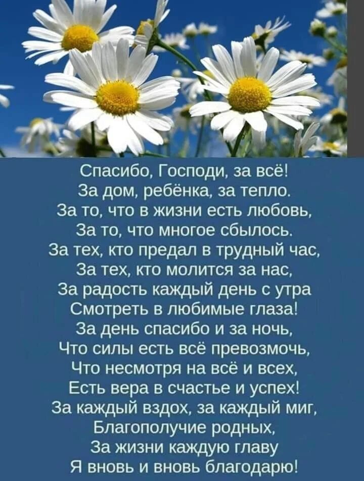 Спасибо что живешь песня. Благодарю тебя Господи. Спасибо Господи. Благодарность Богу в стихах. Спасибо Господу за все стихи.