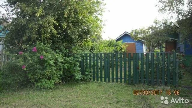 Фотографии поселок пролетарский. Погода пролетарский владимирская обл. Егорий ивановская область. Посёлок пролетарский владимирская область. Погода пролетарский владимирская обл.