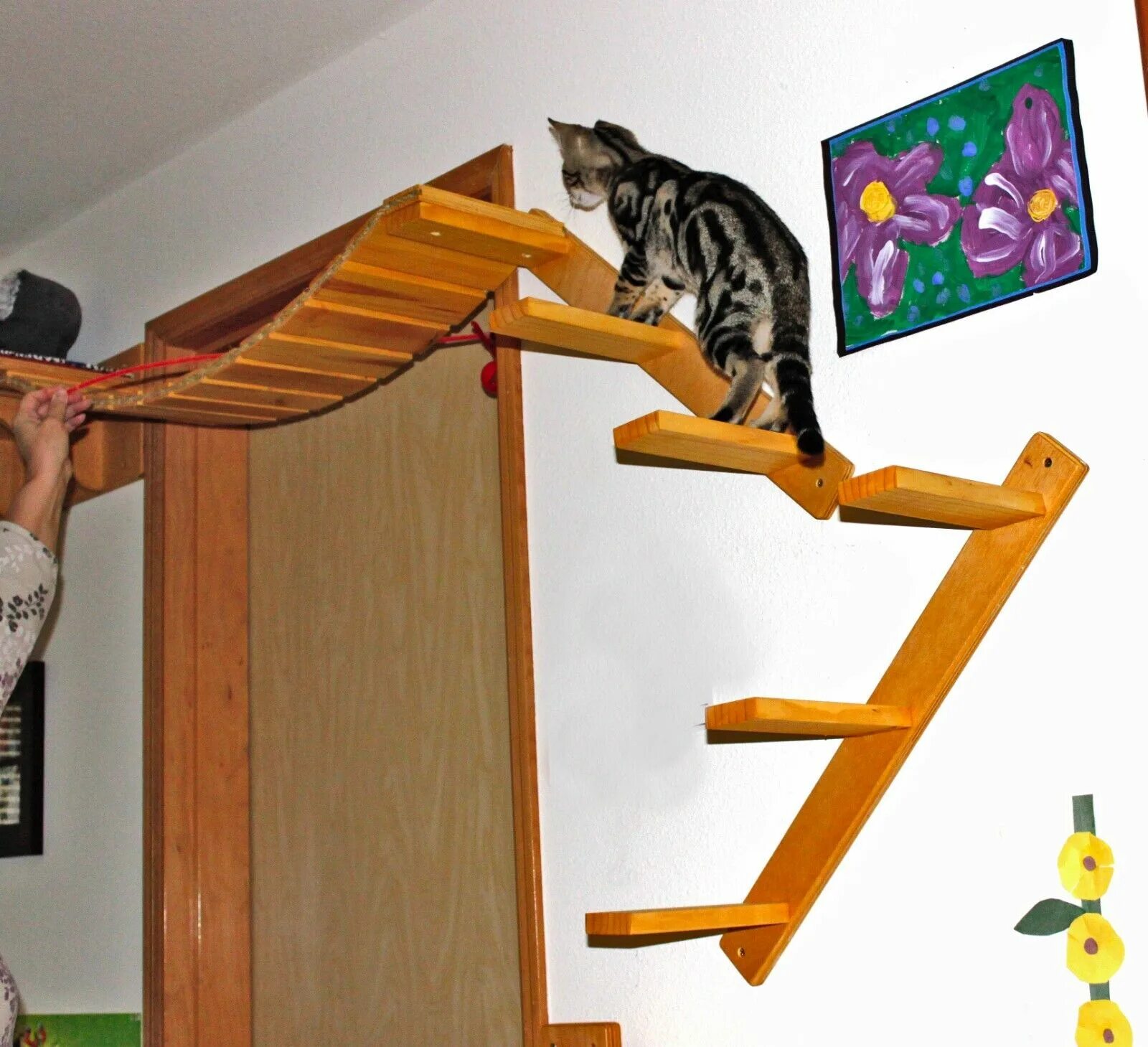 Лесенка лазалка для кошек. Кошачий домик лазалка. Настенная лестница для кошек. Настенный комплекс для кошек. Развлечения для кошек