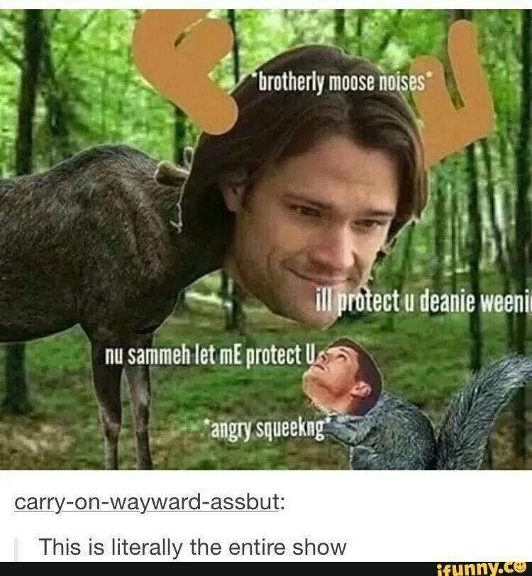 Let me protect you