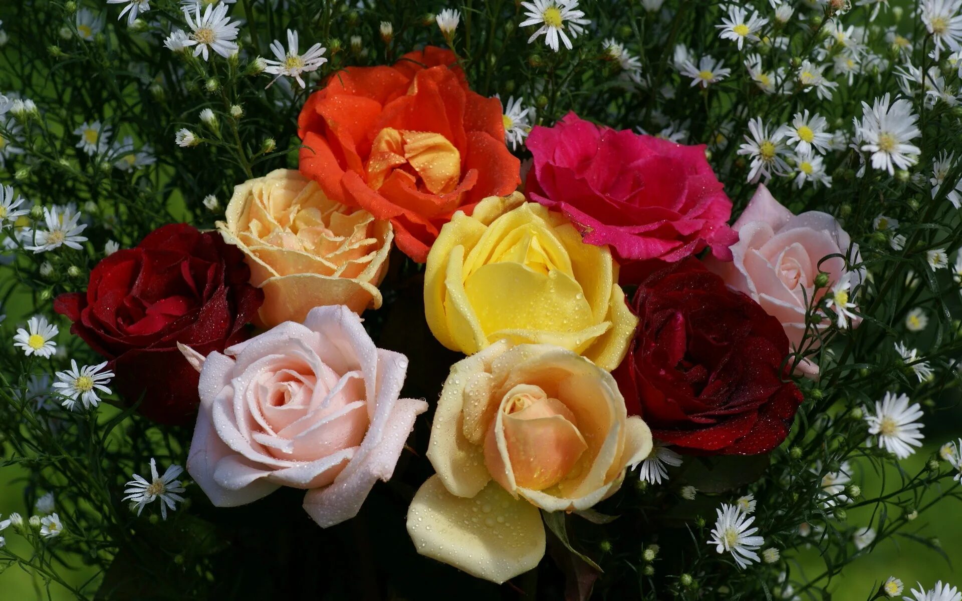 Видео открытка разные. Красивый букет цветов. Разные цветы. Букет разных роз. Букет праздничный.