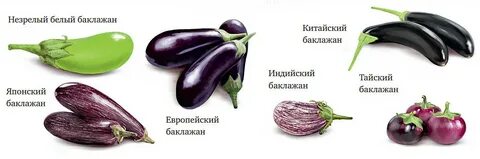 Перцы созревание плодов