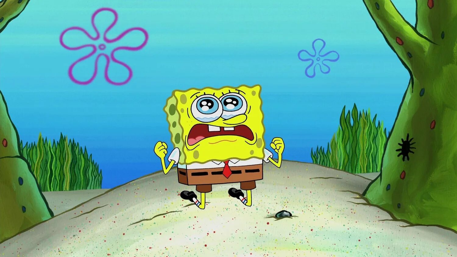 губка боб shake. губка боб shake. губка боб shake. губка боб боб квадратные штаны. губка боб квадратные штаны губка боб квадратные штаны.