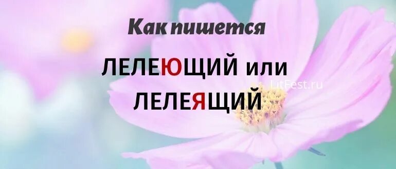 Лелееть или лелеять. Лелеять или лелеить. лелеящий или лелеющий мечту. лелеемый как пишется. лелеять мечту.