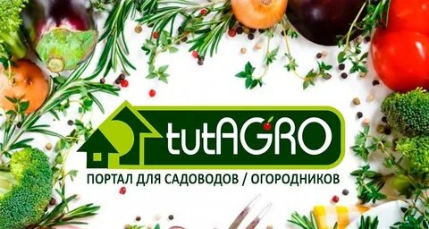 Тутагро