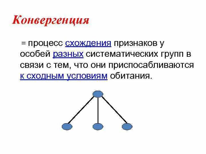 Конвергенция. Конвергенция сетей. Процесс конвергенции. Конвергенция процесс схождения признаков.