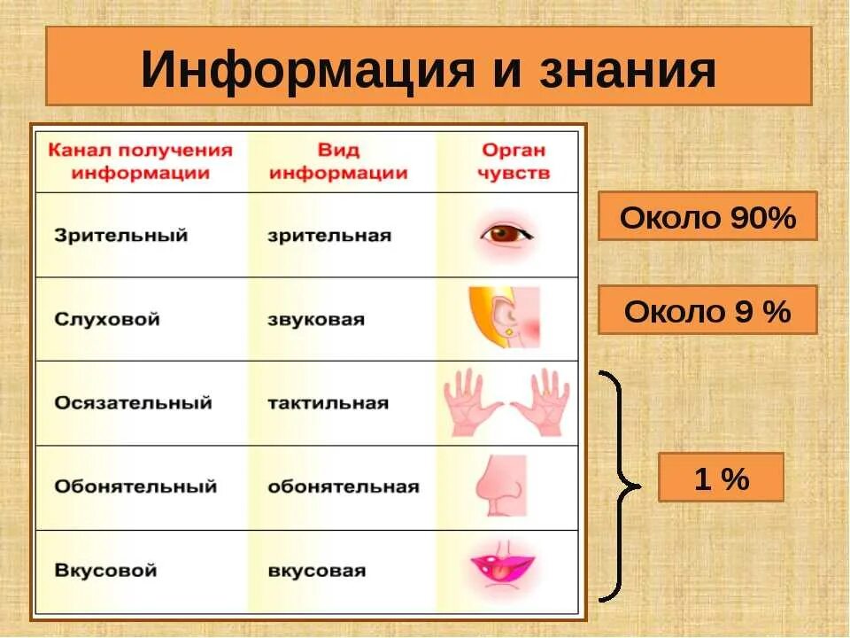 Дайте определение восприятия информации. Каналы получения информации. Виды получения информации человеком. Источники и каналы получения информации. Восприятие информации человеком.