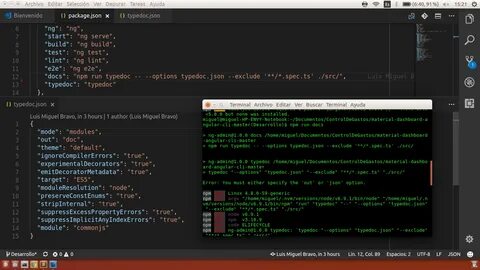 Npm run build