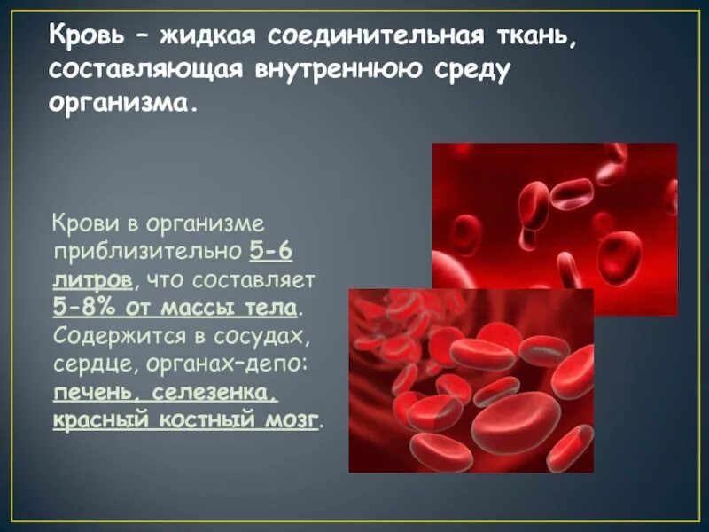 Что значит сильная кровь. Кровь жидкая соединительная ткань. Соединительная ткань в организме. Причина жидкой крови у человека.