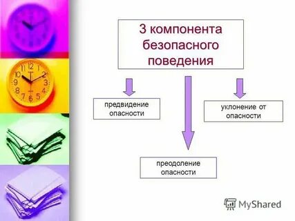 3 элемента социального поведения