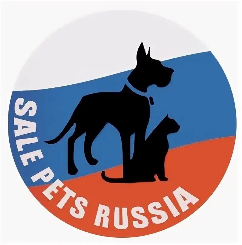 Russian petting. Sale Pets Russia. Pets from Russia компания. Pets from Russia.