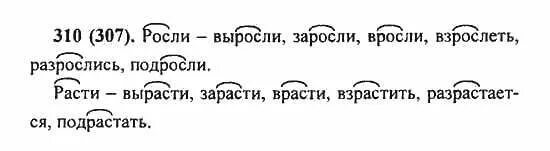 Русский язык 5 класс упражнение 307. Русский язык 5 класс упражнение 310. Упражнение 310 по русскому языку 5 класс.