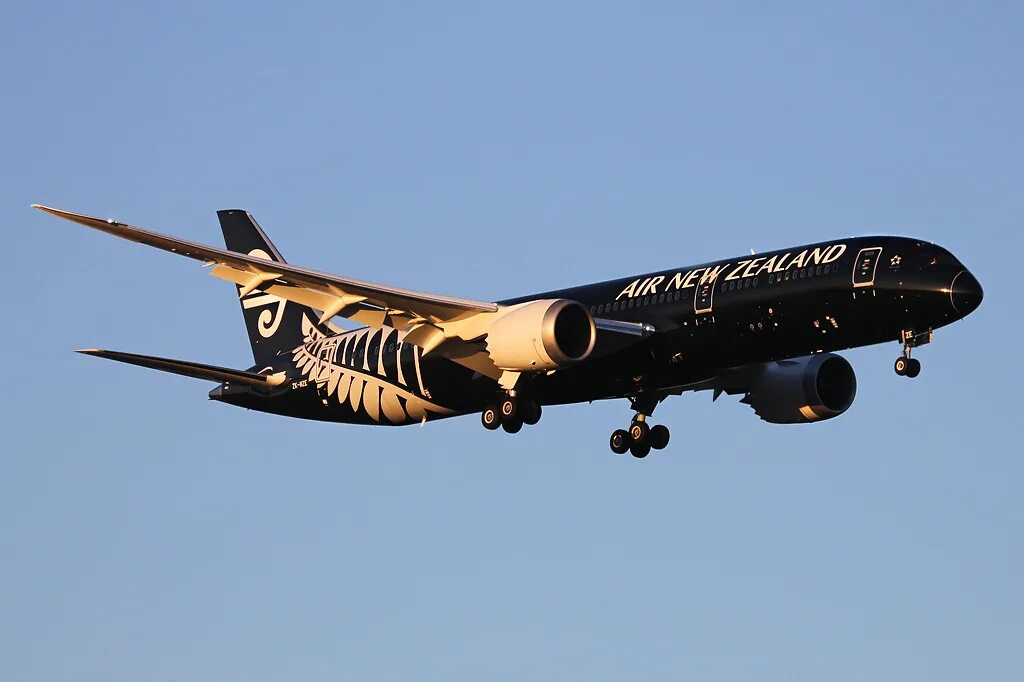 Lujo black jet boeing 757. Boeing-757 black jet. Черный пассажирский самолет. Boeing 787 air new zealand. Lujo black jet черный boeing-757-200bj.