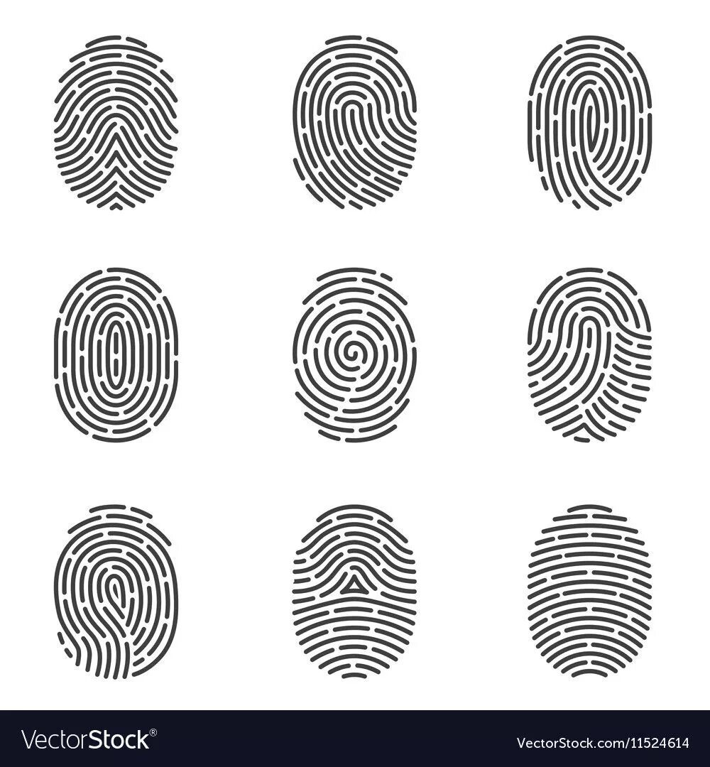 Sectionname ru настройки отпечатков профилей en fingerprints. Отпечаток пальца. Отпечатки пальцев для детей. Найди одинаковые Отпечатки пальцев. Отпечатки пальцев игра.