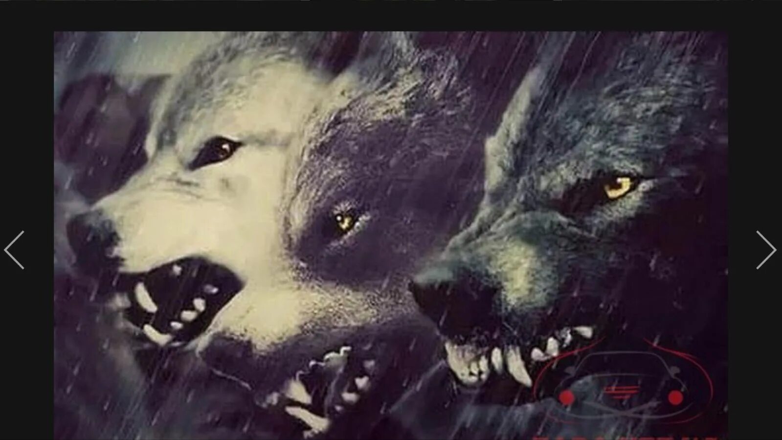 Лицо стаи. Лицо стаи. Лицо стаи. Оборотни волчья стая. Волки стая.