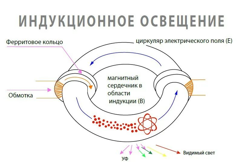 Индукционные принципы. Индукционный светильник принцип работы. Принцип действия индукционной лампы. Схема индукционного светильника. Конструкция индукционной лампы.