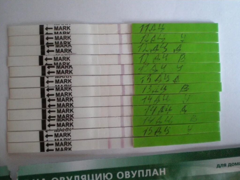 Тест на овуляцию форум отзывы. Динамика тестов на овуляцию овуплан. Положительный тест на овуляцию овуплан. Тест на овуляцию OVUPLAN. OVUPLAN тест на овуляцию положительный.