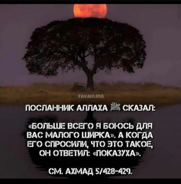 Показуха в Исламе. Показушность в Исламе. Показуха в Исламе цитаты. Показуха исламские статусы. Суть ширка