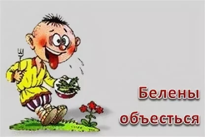 Беленов объелся. Белены объелся происхождение фразеологизма. фразеологизм белены объелся. объясни фразеологизмы белены объелся. белены объелся значение.