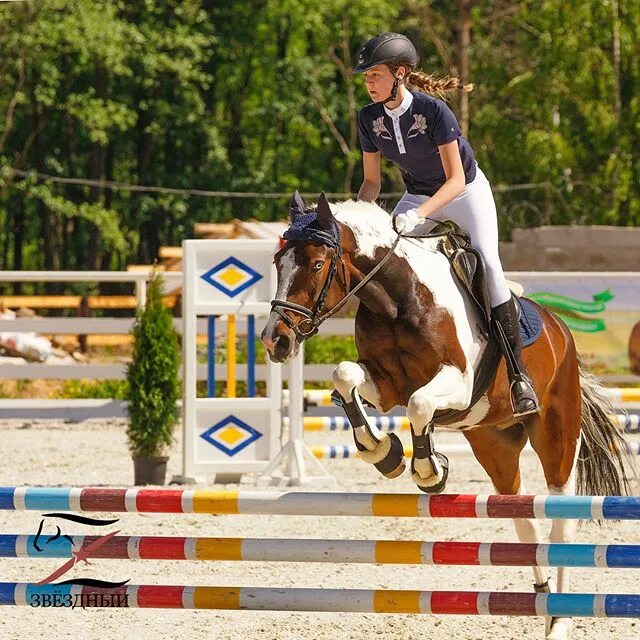 Интернет кск. Дракино конюшня. Кск тимирязева. Интернет кск. Кск пегас конюшня.