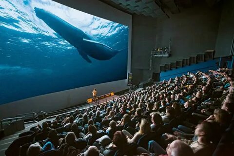 Imax theatre at darling harbour