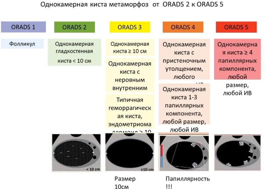 Категория o rads слева 1