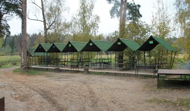 Зеленый городок московская область костино. Зеленый городок пушкинский. Зелёный городок московская область пушкинский район. Зеленый городок пушкинский. Санаторий "зелёный городок" пушкинский район, московская область.