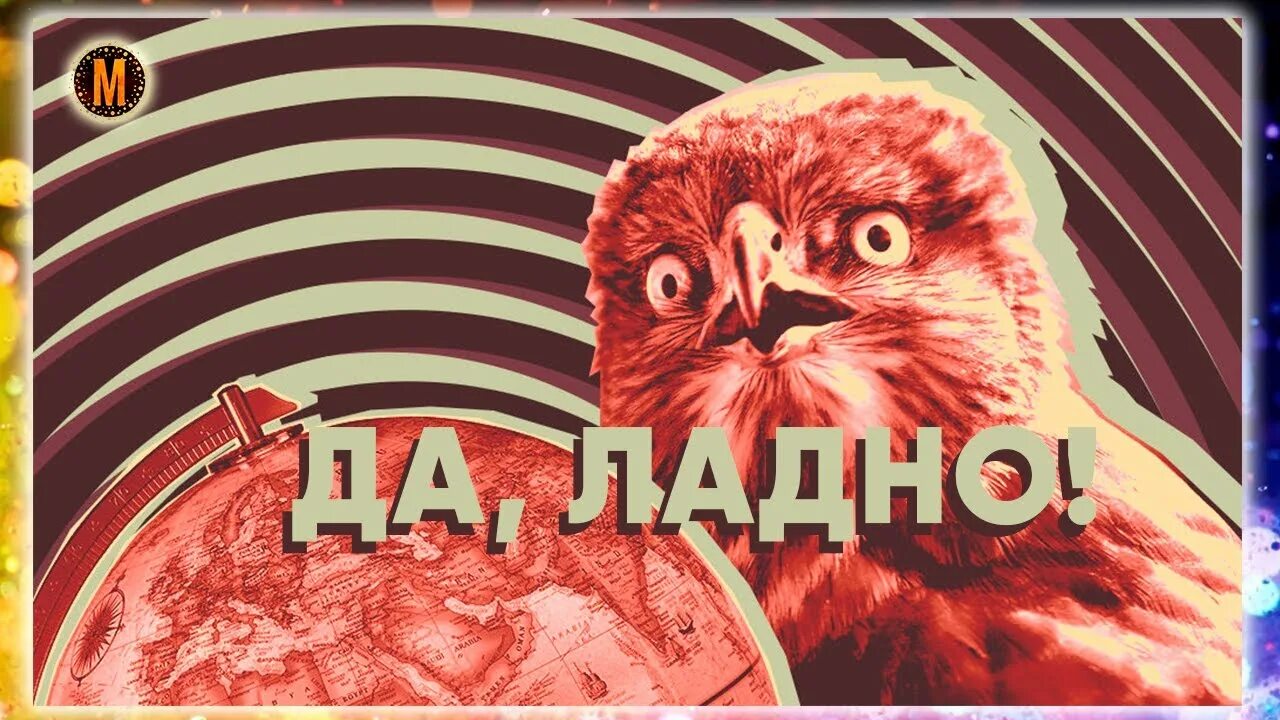 Выражение сова натянутая на глобус. Сова натянутая на Глобус. Натянуть сову на Глобус. Сова на глобусе. Натягивание Совы на Глобус.