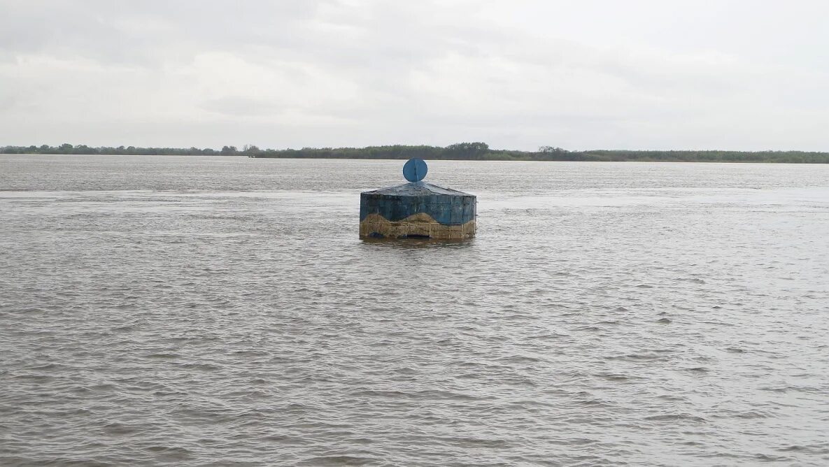 Когда пойдет амур в хабаровске 2025. Хабаровск вода. амур. уровень амура. уровень амура у хабаровска.