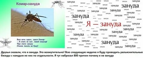 Зануда привычка текст