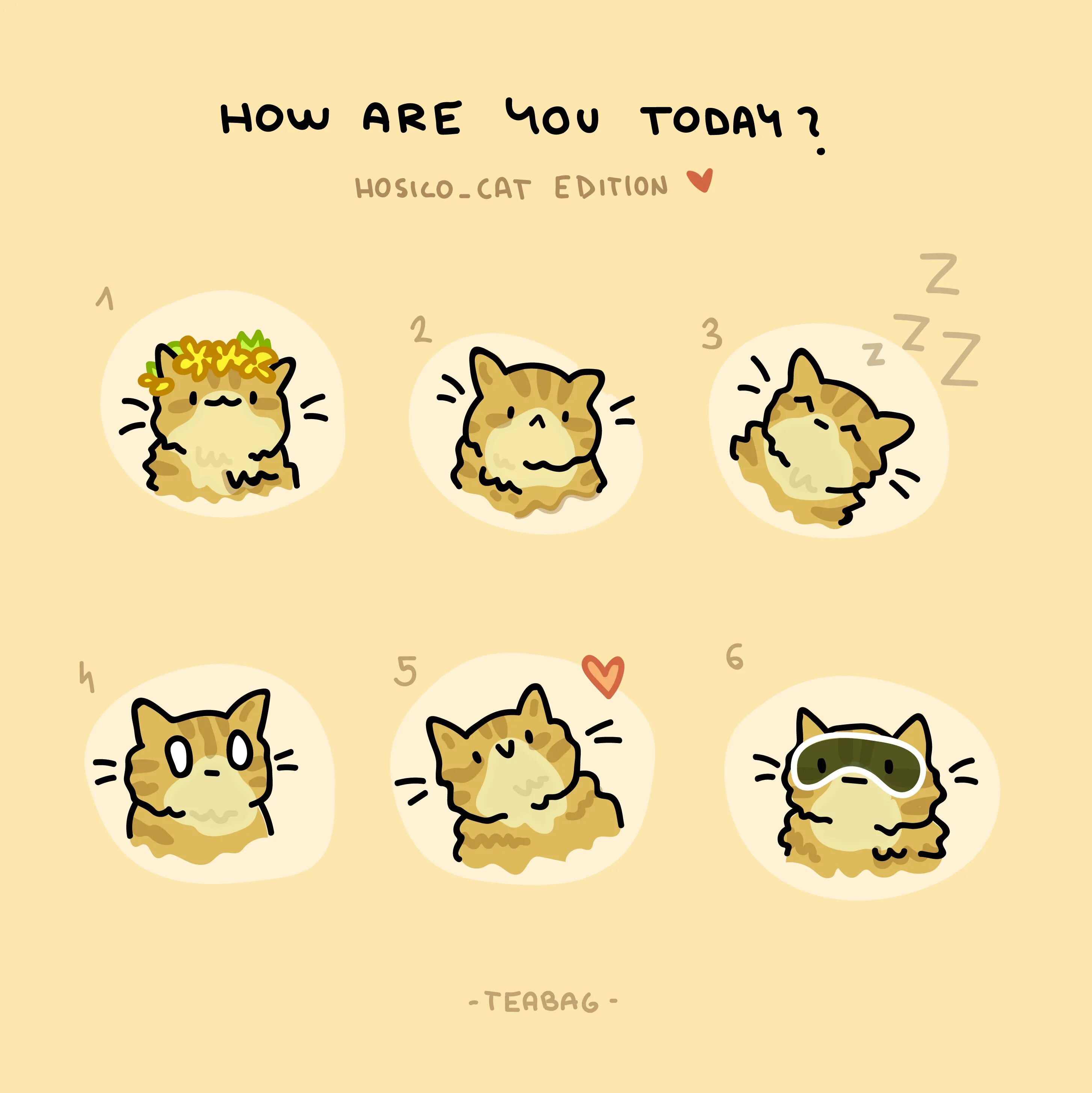 How are you on a scale of. How are you cats. how are you today cats. how are you cat scale. hello how are you cats.