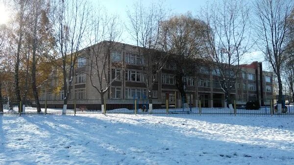 19 Школа Минск. Школа 160 Минск. Минск 95 школа. 59 Школа Минск.