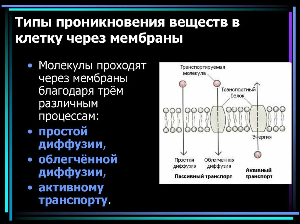 Какой вид мембранного транспорта показан на рисунке. Способы проникновения веществ через мембраны рецепторы клеток. Транспорт веществ через клетку. Транспорт веществ через клеточную мембрану. Транспорт веществ через плазматическую мембрану.