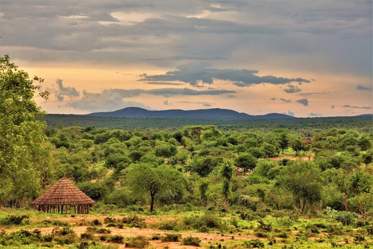 Восточная африка эфиопия ландшафт. Эфиопия ландшафт. Горы сымен эфиопия. Эфиопия природа фото. Эфиопия природа.