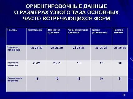 Средние размеры таза