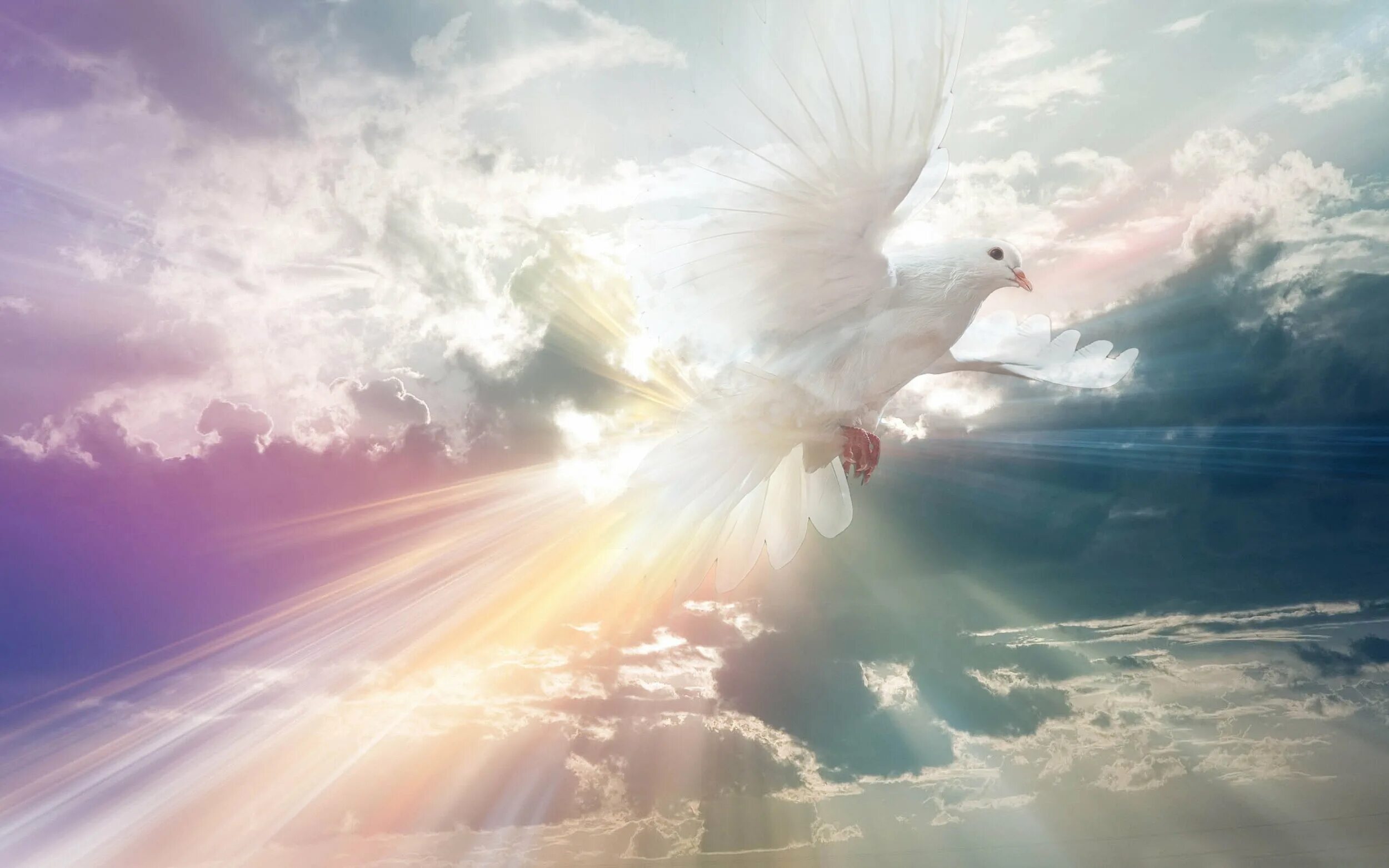 Лучи солнца. Голубой фон. Солнечное небо. Свет солнца. Солнечные блики.