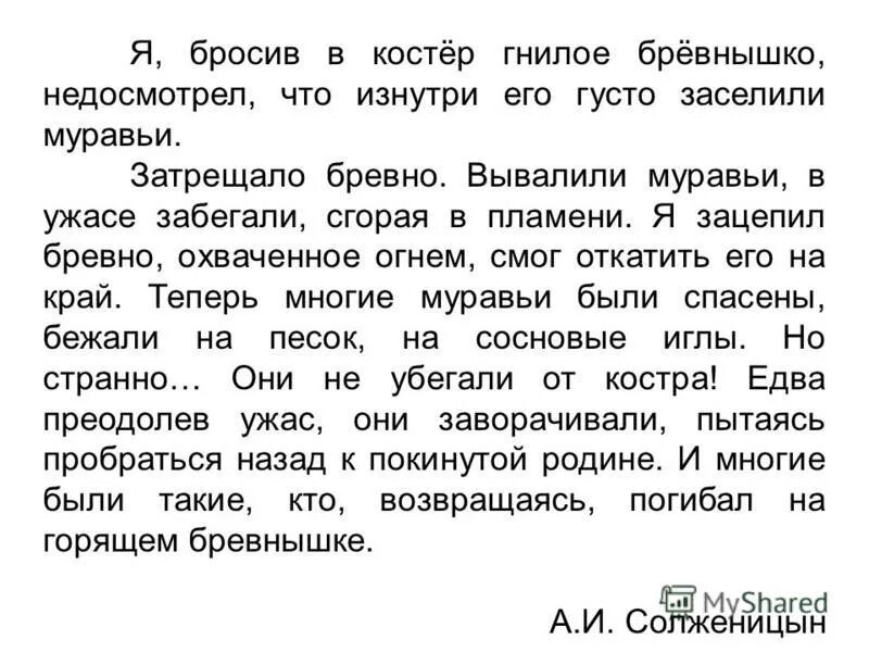 Жизнь это определение для сочинения. Я бросил в костер гнилое бревнышко недосмотрел. Костер и муравьи текст. Рассказ костер и муравей. Костёр и муравьи.