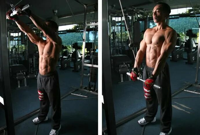 Кроссовер на верх. Пуловер с верхнего блока в кроссовере. straight arm pulldown упражнение. пуловер с верхнего блока с прямой рукоятью. пуловер упражнение в кроссовере.